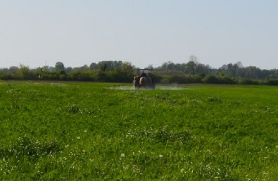 Effects of pesticides on farmland (locality: Gromiželj)